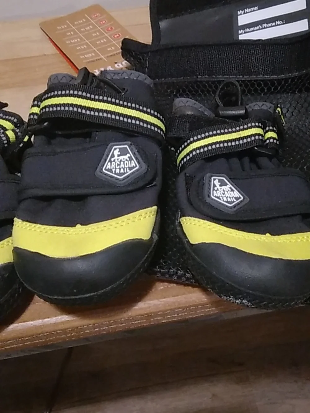 Arcadia Trail All-Terrain Dog Boots